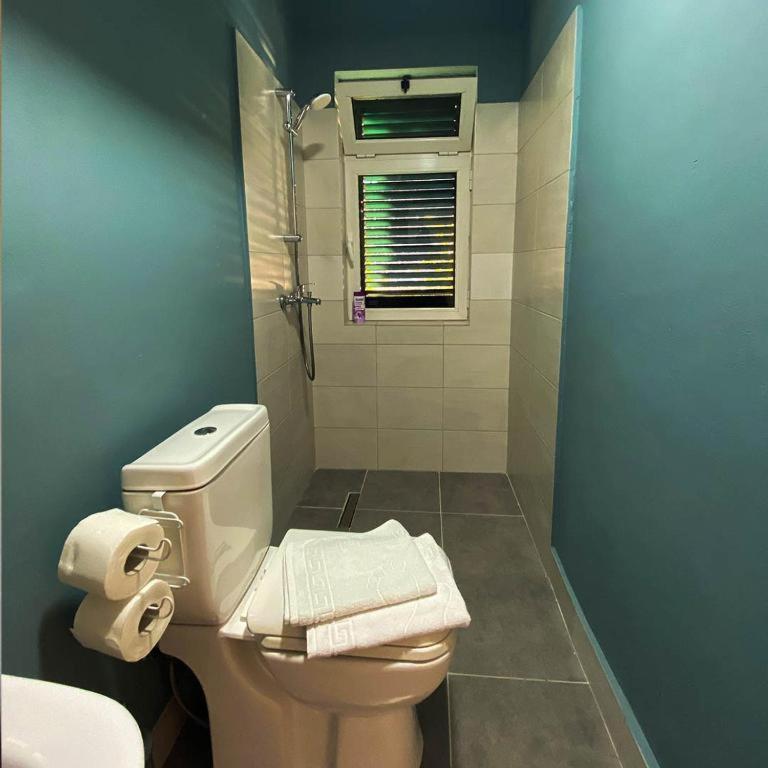 Agroturizem Hotel Vila Franceze Koman Ngoại thất bức ảnh