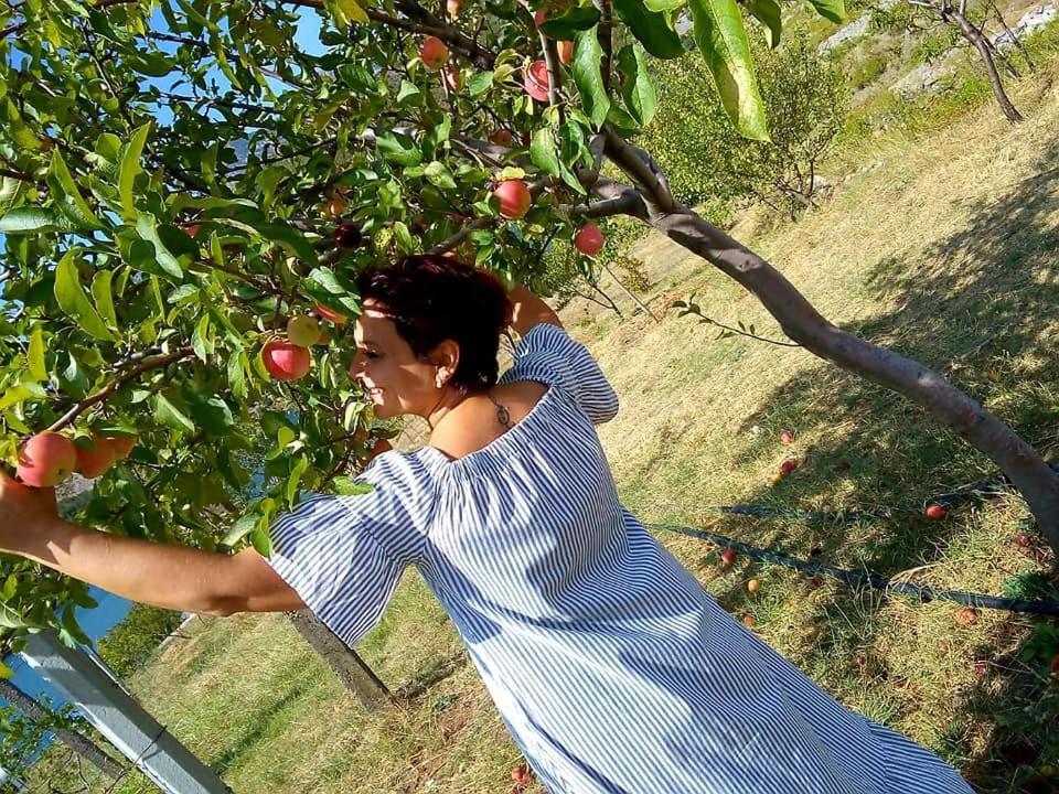 Agroturizem Hotel Vila Franceze Koman Ngoại thất bức ảnh