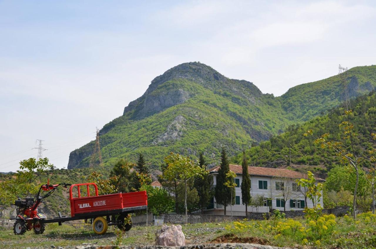 Agroturizem Hotel Vila Franceze Koman Ngoại thất bức ảnh