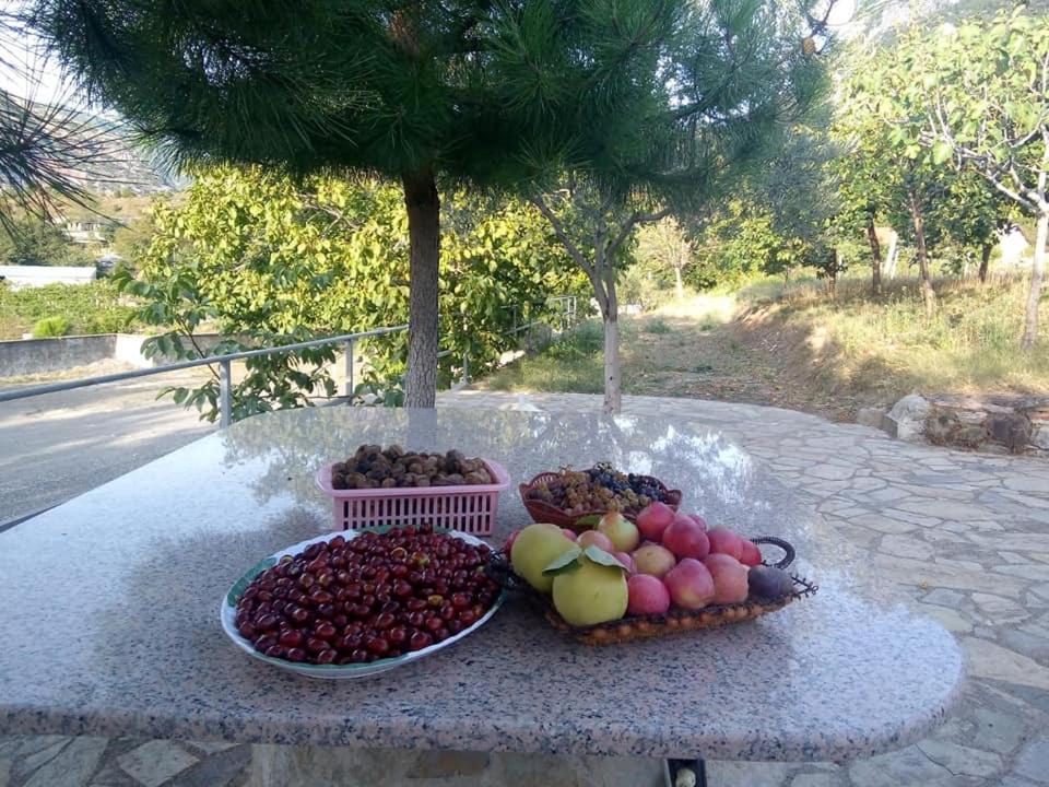 Agroturizem Hotel Vila Franceze Koman Ngoại thất bức ảnh