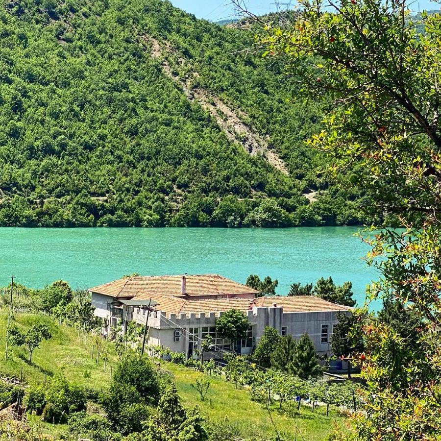 Agroturizem Hotel Vila Franceze Koman Ngoại thất bức ảnh